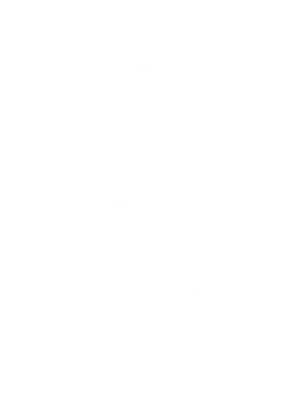 AVLAV